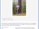 How to Fell a Tree Using a Chainsaw will help you safely remove nature's impediments to optimal antenna  performance. 